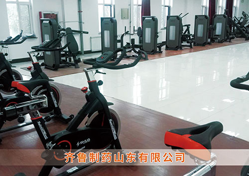 ?米兰·(milan)中国官方网站體育為齊魯制藥呼和浩特分公司打造健身房
